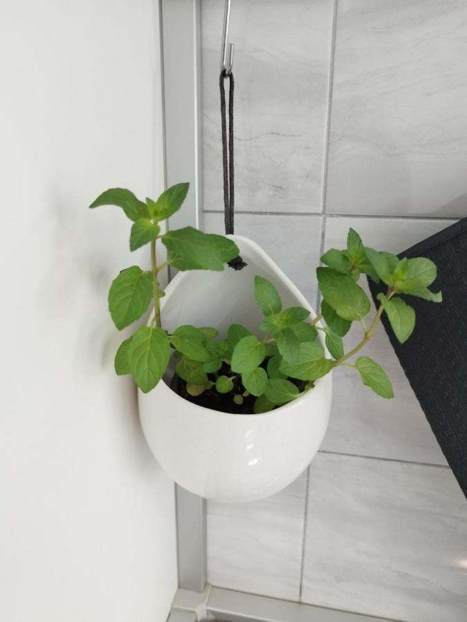 Antemma Apartment PUY 외부 사진
